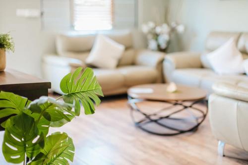 a living room with a couch and a table at Platinum Cawa Apartments in Nadi