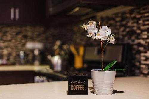 a flower in a pot on a counter next to a coffee container at Platinum Cawa Apartments in Nadi