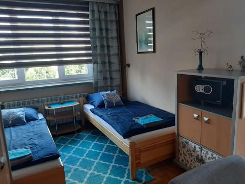 Кровать или кровати в номере Noclegi Grota