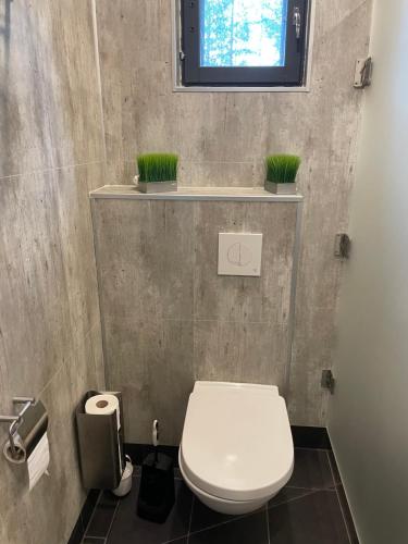 a bathroom with a toilet and two plants on a shelf at Hideway Glamping Tree tent in Muurame