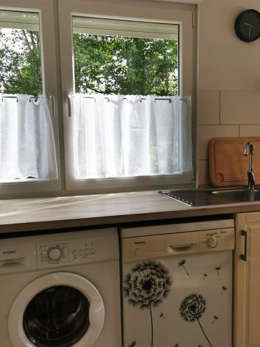 a kitchen with a washing machine and two windows at Villa Carmen in Halbemond