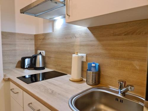 kuchnia ze zlewem i blatem w obiekcie LOVELY HOME private TERRACE w Wiedniu