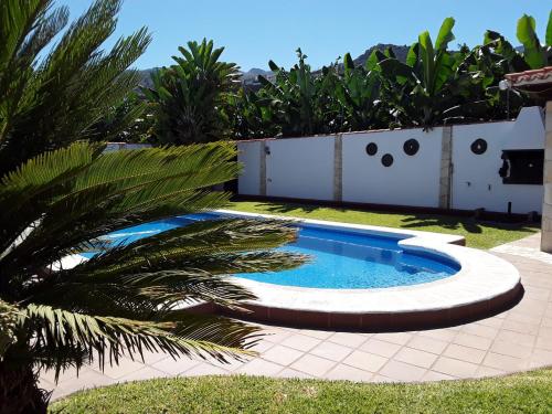 una piscina in un cortile con una palma di La Finca III a Breña Baja