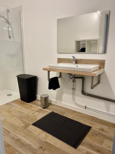 une salle de bain avec un lavabo et un miroir dans l'établissement Gîtes du Moulin à Tan à Saché 37, à Saché