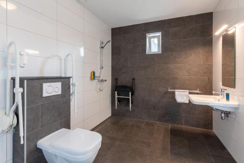 a bathroom with a toilet and a sink at Villapark Ehzerburg in Almen