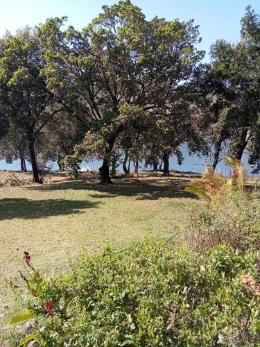 un parc avec des arbres et de l'herbe et une masse d'eau dans l'établissement Duiker's Den at Hulala, à White River
