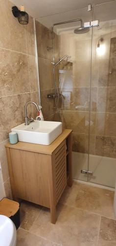 ein Bad mit einem Waschbecken und einer Dusche in der Unterkunft La Carriera, petite maison sud Ventoux, au charme Provençal in Bédoin