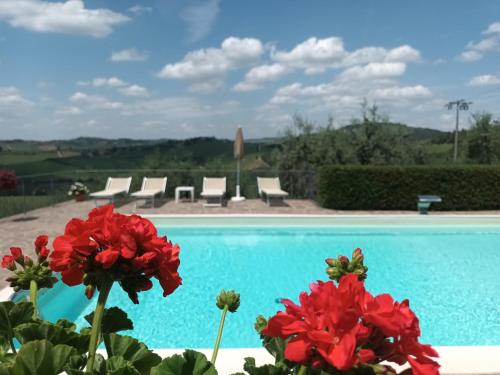 a swimming pool with red flowers in front of it at Poggio Massiccioli in Poggibonsi