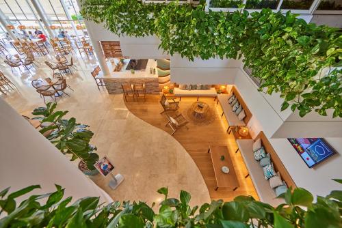 an overhead view of a living room with plants at Aparthotel Ponent Mar in Palmanova