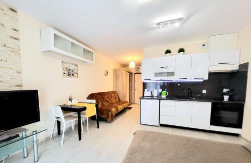 a kitchen and living room with a couch and a table at Cracow NOVUM Apartment Downtown free parking 4 os in Kraków