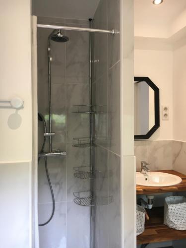 a bathroom with a shower and a sink at LE STUDIO, avec un extérieur, un local pour vos vélos, skis, bagages in Bagnères-de-Bigorre