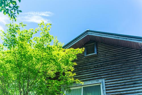 a house with a window and a tree at 深山山荘 DENCHI in Uchiko
