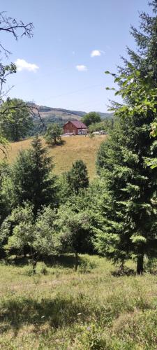 Φυσικό τοπίο κοντά σε αυτή η παραθεριστική κατοικία