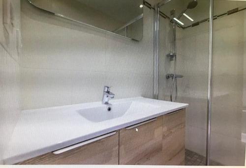 a bathroom with a sink and a shower at La Meije, Chalets Reflets de Montagne in Le Bourg-dʼOisans