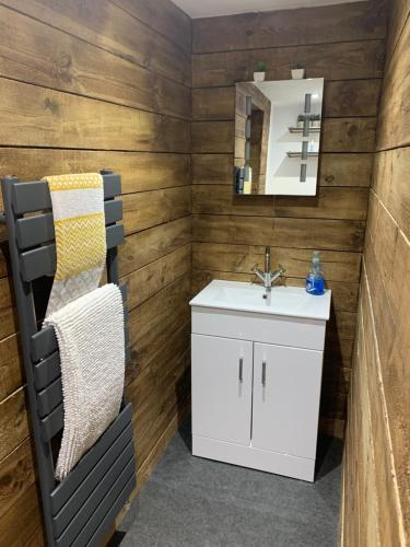 ein Bad mit einem Waschbecken und einem Spiegel in der Unterkunft Aiskew Villa Annex in Bedale