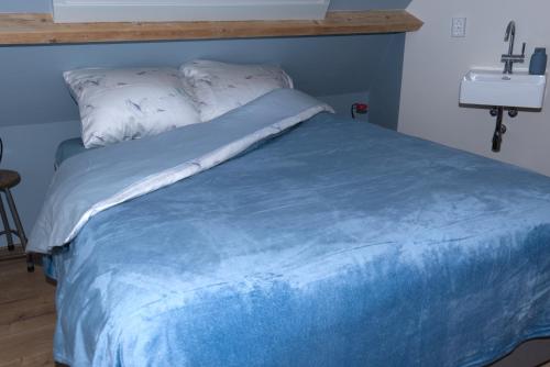 a blue bed with a blue blanket and a sink at Bed and Breakfast Hans en Gridje in Breda
