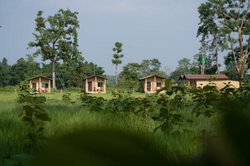 eine Gruppe von Cottages auf einem Grasland in der Unterkunft Namaste Bardiya Resort in Bhurkīā