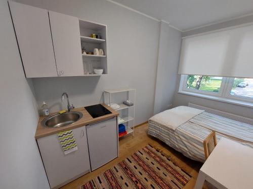 Kuchyň nebo kuchyňský kout v ubytování Pepleri mini apartment