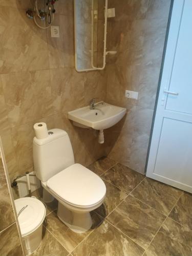 a bathroom with a toilet and a sink at Svitiaz Griada in Szack