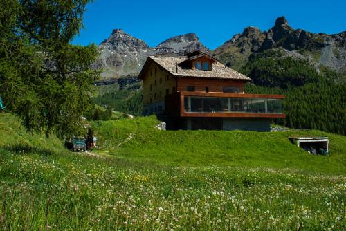 Crest Alpine Lodge & Spa – Photos 3