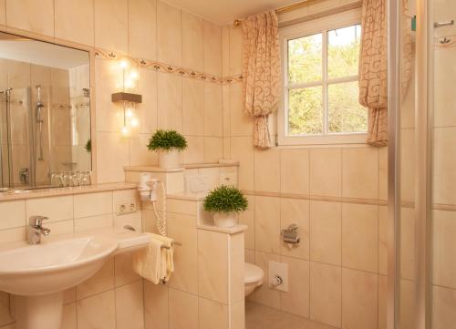 a bathroom with a sink and a toilet and a window at Hotel Zum weißen Stein in Kirchen