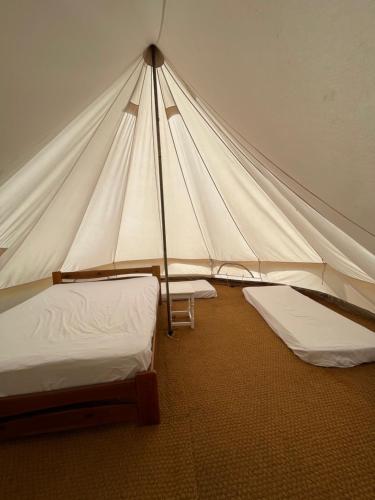 a tent with two beds in a room at Bell tent 1 Glyncoch isaf farm in Llwyn-Dafydd