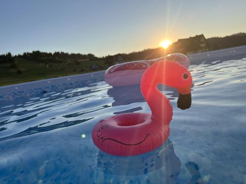 Bazén v ubytování Czerwone Wierchy - sauna i jacuzzi wliczone w cenę pobytu! nebo v jeho okolí