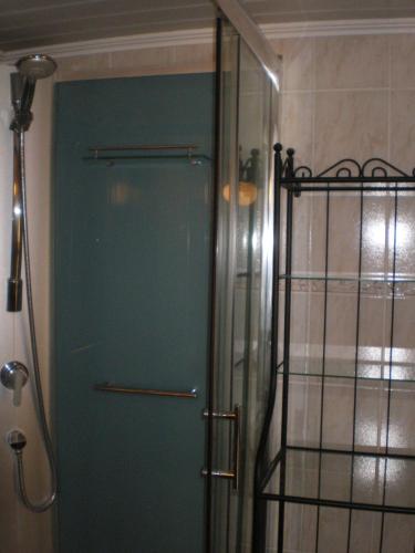 La salle de bains est pourvue d'une douche. dans l'établissement L Ermitage ST Roch appartement ST André, à Salins-les-Bains