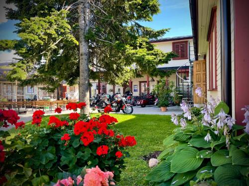 Ein Garten an der Unterkunft Aleksandri Guesthouse