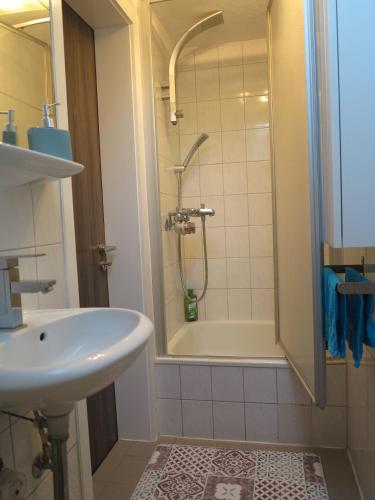 a bathroom with a sink and a shower at Allgäu Spirit in Immenstadt im Allgäu