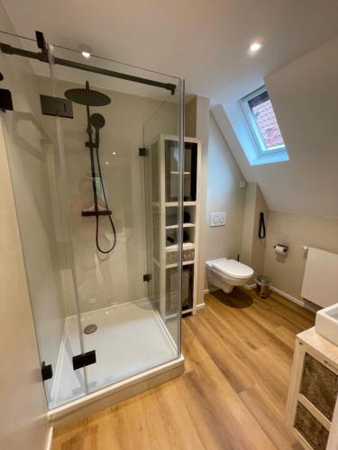 a bathroom with a glass shower with a toilet at Stadtvilla Apartments Ferienwohnungen Weinsberg in Weinsberg