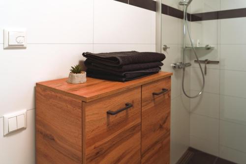 La salle de bains est pourvue d'une armoire en bois et d'une douche. dans l'établissement Apartment Haus Inge, à Dürrröhrsdorf
