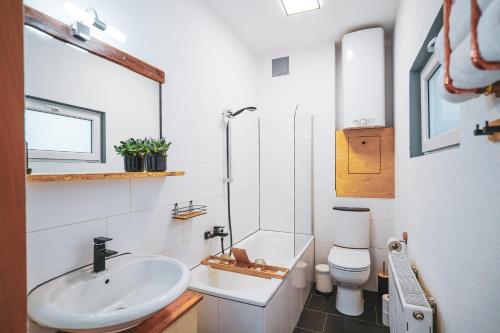 ein Bad mit einem Waschbecken und einem WC in der Unterkunft Studio Apartment zur alten Post, 48qm Individualapartment mit Blick über Zittaus Altstadt, Ferienwohnung im Altstadtkern umrandet vom Zittauer Gebirge in Zittau