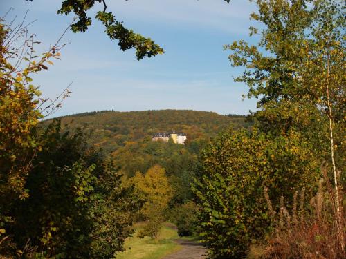 a house on a hill in the middle of a forest at Hotel Zum weißen Stein in Kirchen
