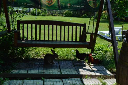 Billede fra billedgalleriet på The Old House Guest House i Obedinenie