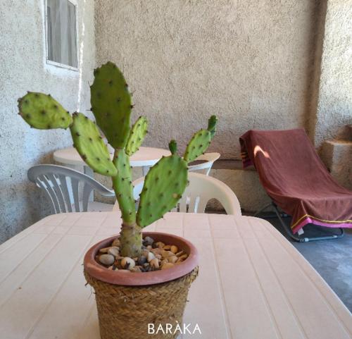 a cactus sitting on top of a table at Baràka - Bungalow sulla spiaggia in Donnalucata