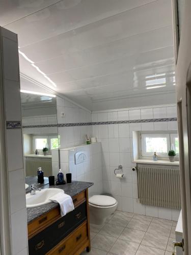 une salle de bain avec un lavabo et des toilettes dans l'établissement LA VILLA Hôtel-Restaurant, à Saverne