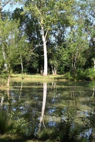 Gallery image of Domaine de Boulouch in Lectoure