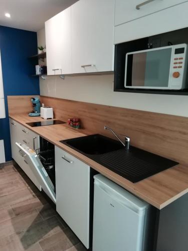 cocina con fregadero y microondas en Studio Place 28 à Joue sur Erdre en Joué-sur-Erdre