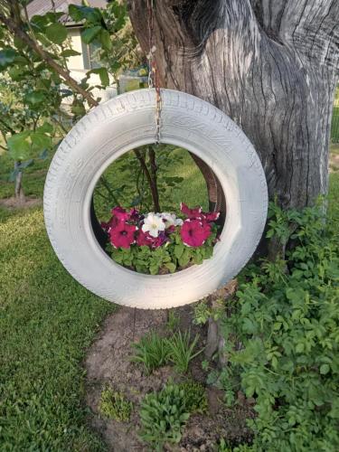 a tire hanging from a tree with flowers in it at Apartman Bepo in Gospić