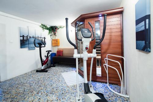 The fitness centre and/or fitness facilities at La demeure aux Pins