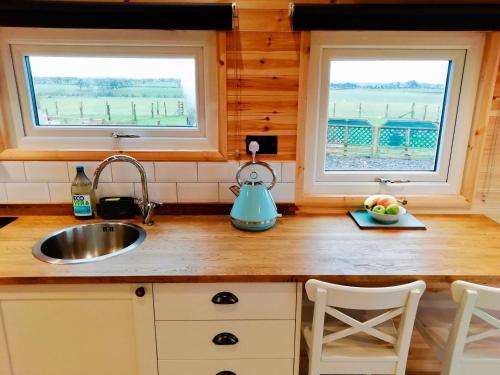 a kitchen with two windows and a sink at Bracken Heights in Newark-on-Trent