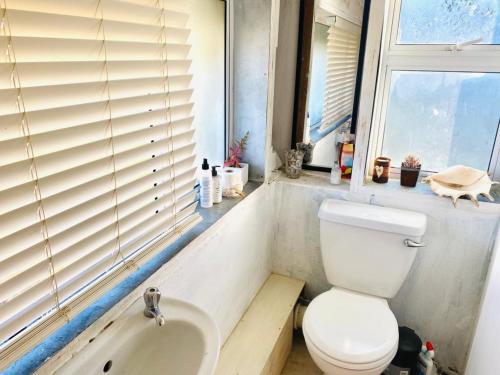 a bathroom with a toilet and a sink and a window at Top beach studio in Herolds Bay