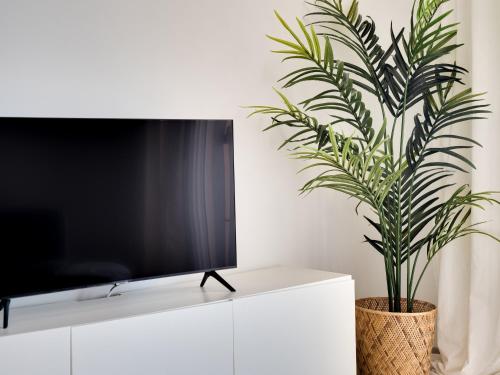 Small Oasis 2387