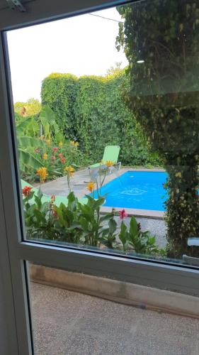 a view of a pool through a sliding glass door at Apartman MURKO P-2 in Brest