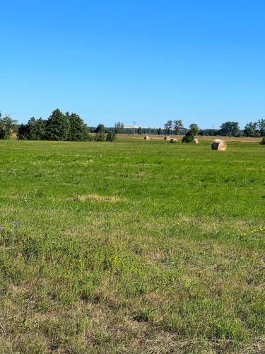 a field of green grass with hay bales in the background at Z Widokiem na Wydmę in Łokciowe