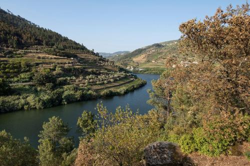 a river in the middle of a valley at Quinta de São Pedro in Barrô