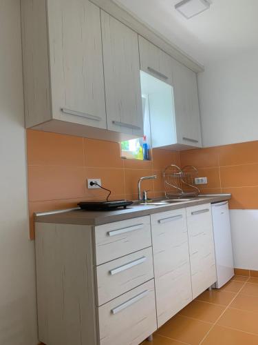 Küche/Küchenzeile in der Unterkunft Stan na dan Valjevo centar
