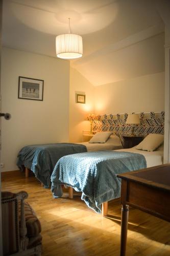 a bedroom with two beds and a pendant light at Gîte de Montfranc in Pierrefitte-sur-Sauldre