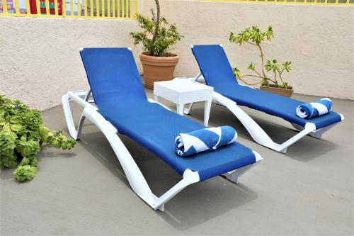 two blue and white chairs sitting on a patio at Hotel 12 BEES by Kavia in Playa del Carmen